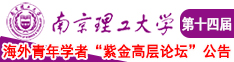 操少妇不下载在南京理工大学第十四届海外青年学者紫金论坛诚邀海内外英才！